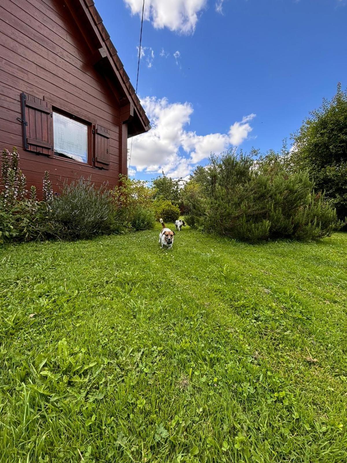 Maison Ecoresponsable Classee 3 Etoiles Avec Son Jardin Clos 栋济 外观 照片